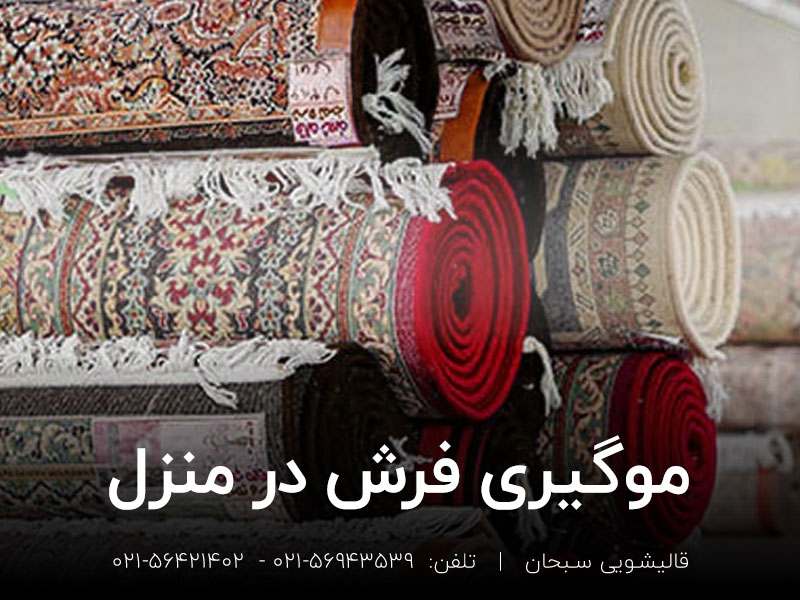 نحوه موگیری فرش در منزل